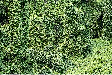 《荒野大镖客1》通过shadPS4模拟器实现PC60帧