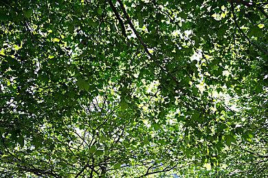 《足球经理2025》延期至明年3月 以确保游戏质量符合标准